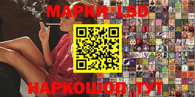 индика Обь
