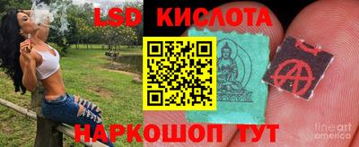 индика Обь