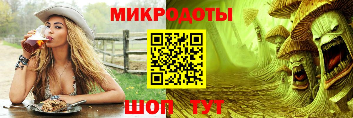 Псилоцибиновые грибы мицелий Славгород